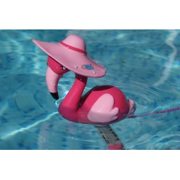 Thermométre flamand rose