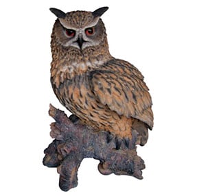hibou